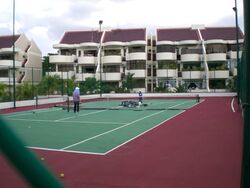The Windsor (D20), Condominium #576817091